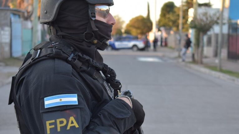 Secuestraron casi 800 plantas.