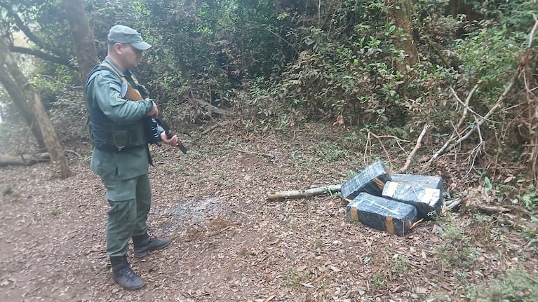 Secuestraron cerca de 400 kilos de marihuana de una caona en un arroyo misionero. (Foto: Gendarmería Nacional)