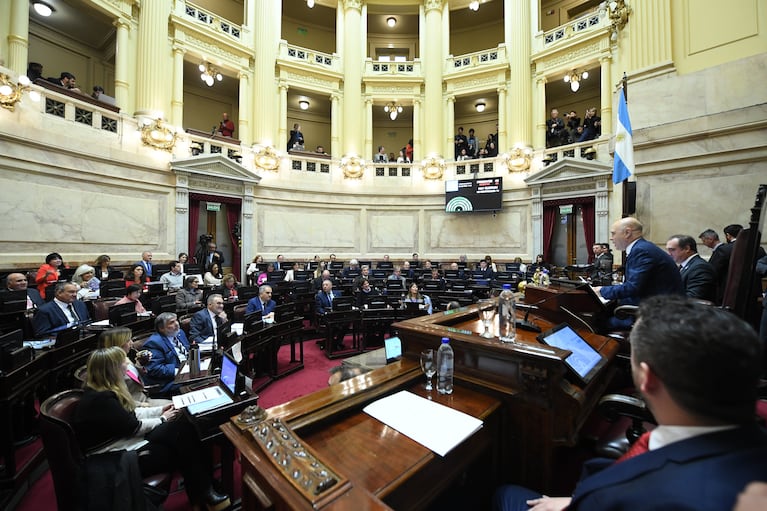 senado