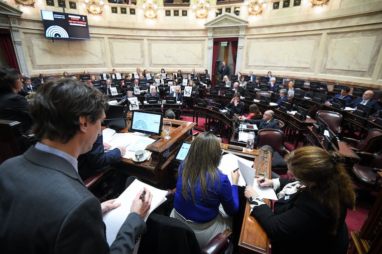 senado