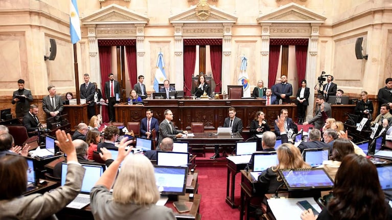 Sesión en el Senado, encabezada por la presidenta de la Cámara Alta Victoria Villarruel. (Foto: Mario Mosca - Comunicación Institucional Senado)