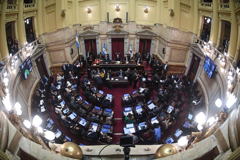 Sesión ordinaria del Senado de la Nación. (Foto: Charly Diaz Azcue / Comunicacion Senado)