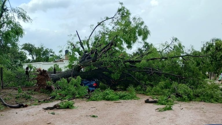 Severos daños en Sebastián Elcano por una fuerte tormenta de viento y lluvia. Foto: Diario Primer Informe.