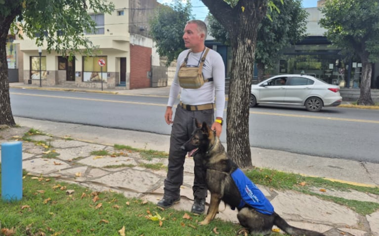 shamal perro esmeralda