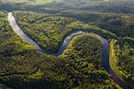 Si se corrobora un dato clave los científicos podrán asegurar que el Amazonas es el río más largo del mundo. Foto: National Geographic