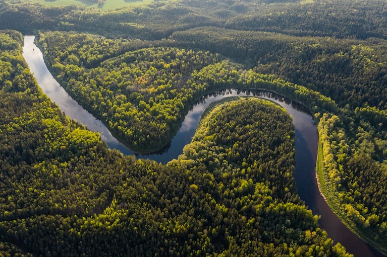 Si se corrobora un dato clave los científicos podrán asegurar que el Amazonas es el río más largo del mundo. Foto: National Geographic