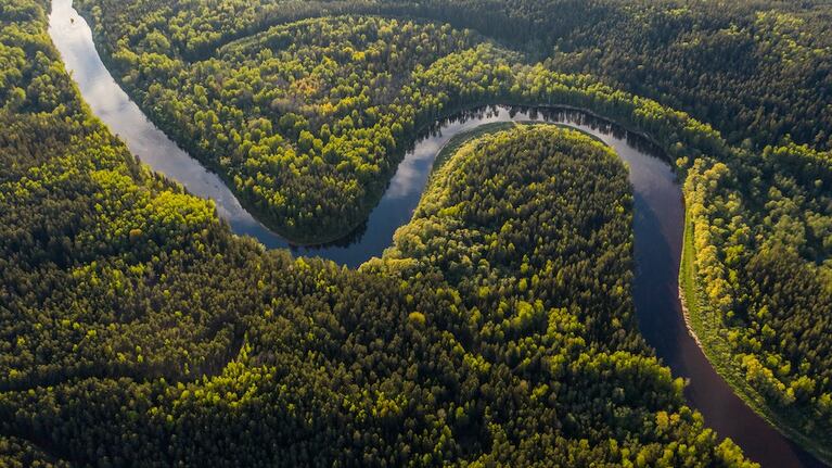 Si se corrobora un dato clave los científicos podrán asegurar que el Amazonas es el río más largo del mundo. Foto: National Geographic