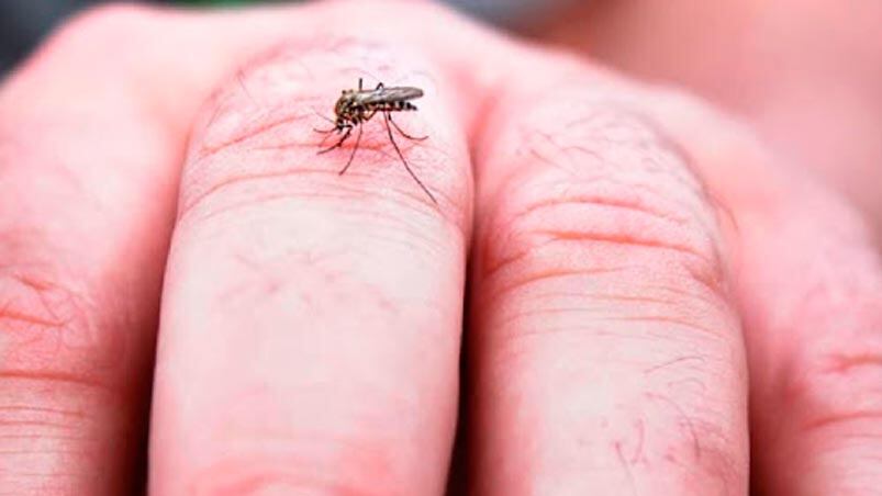 Siguen bajando los contagios por dengue en la provincia de Córdoba.