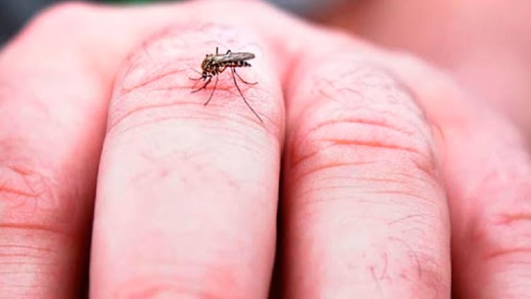 Siguen bajando los contagios por dengue en la provincia de Córdoba.