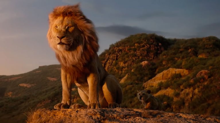 Simba irá en busca del trono que su malvado tío usurpó. / Foto: Disney