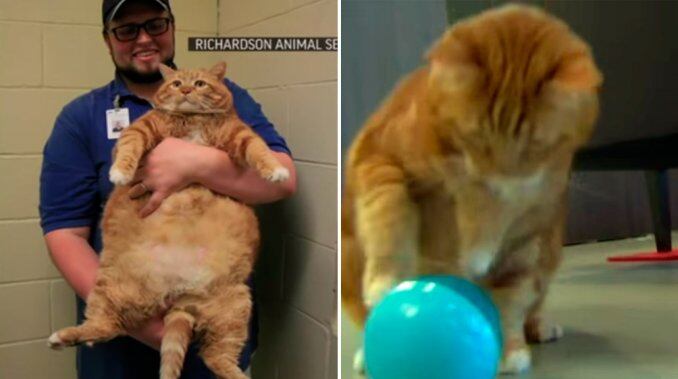 Skinny estaba al borde de la muerte por su peso pero logró bajar 10 kilos. 