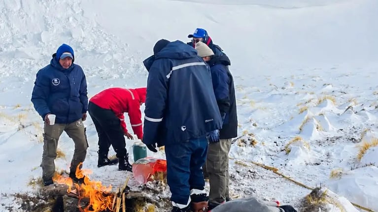Sobrevivieron a temperaturas de - 30 grados (Foto: gentileza El Esquiú)
