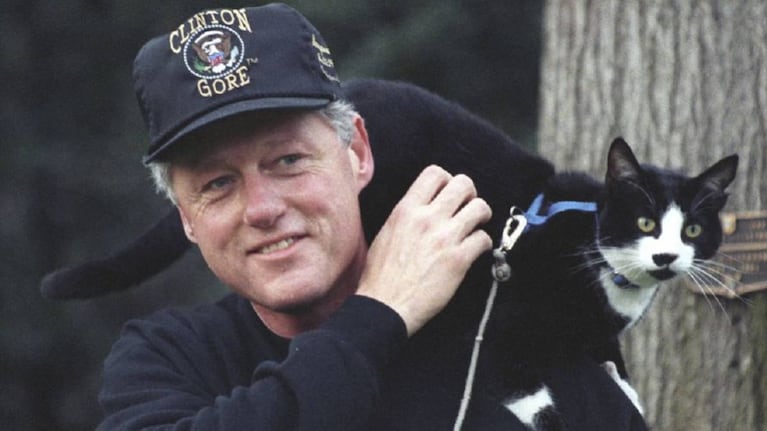 Socks, el histórico gato de Bill Clinton.