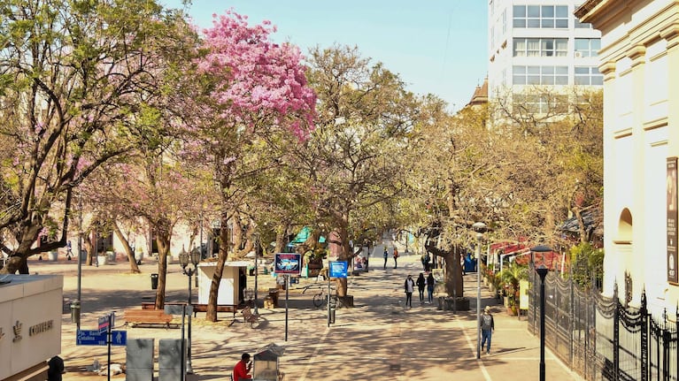 Sol y tardes cálidas para la última semana completa de julio en la provincia.
