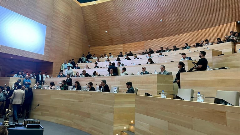 Sólo el oficialismo participa de la sesión en la Legislatura. Foto: Mateo Lago / El Doce.