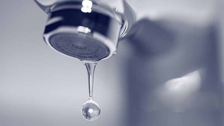 Son tres las actividades en las que empleamos más agua y resulta imperioso hacer un uso responsable del recurso.