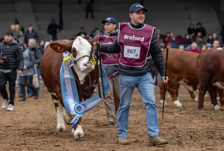 "Sorpresa", el Gran Campeón de la jura de las hembras.