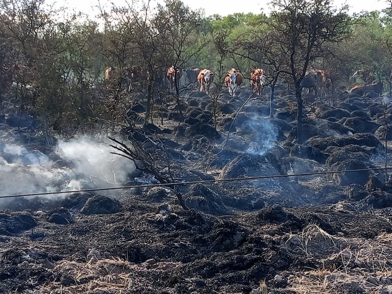 Sospechan que el incendio fue provocado por los detenidos.