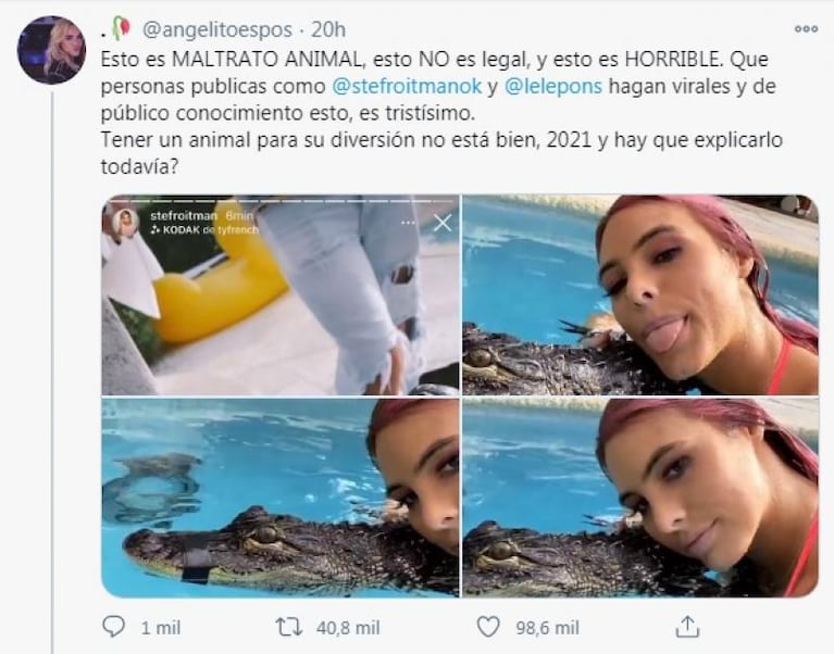 Stefi Roitman fue acusada de posar con un cocodrilo "maltratado": su descargo