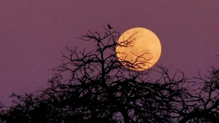 superluna