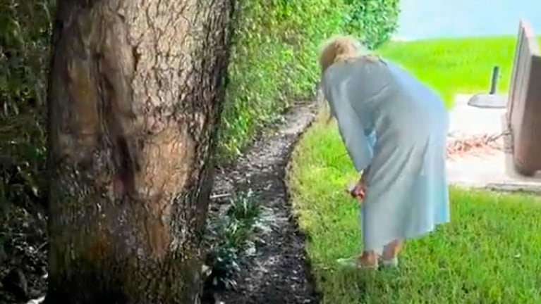 Susana Giménez encontró una iguana en el jardín de su casa de Miami.