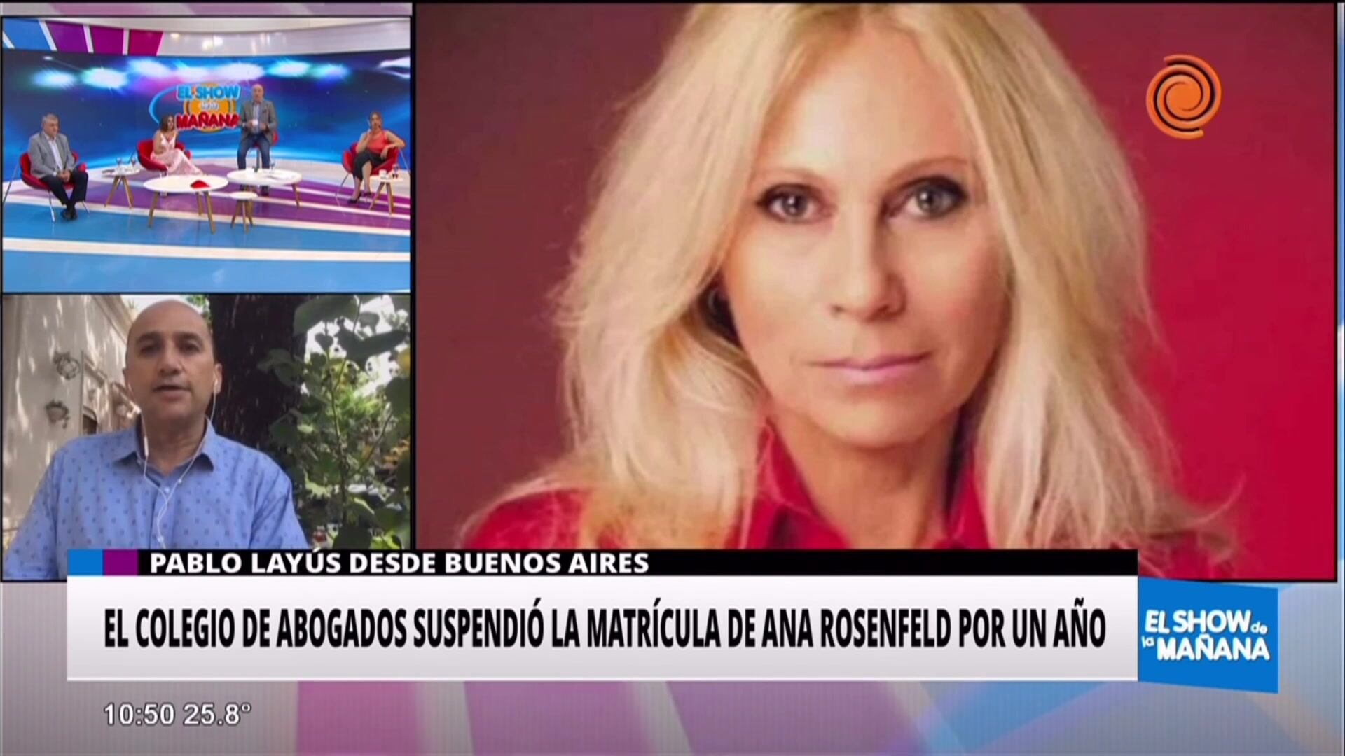 Suspendieron la matrícula de Ana Rosenfeld