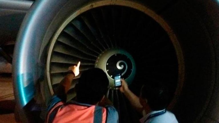 Susto en un vuelo: avión de Latam afectado por aves en la turbina