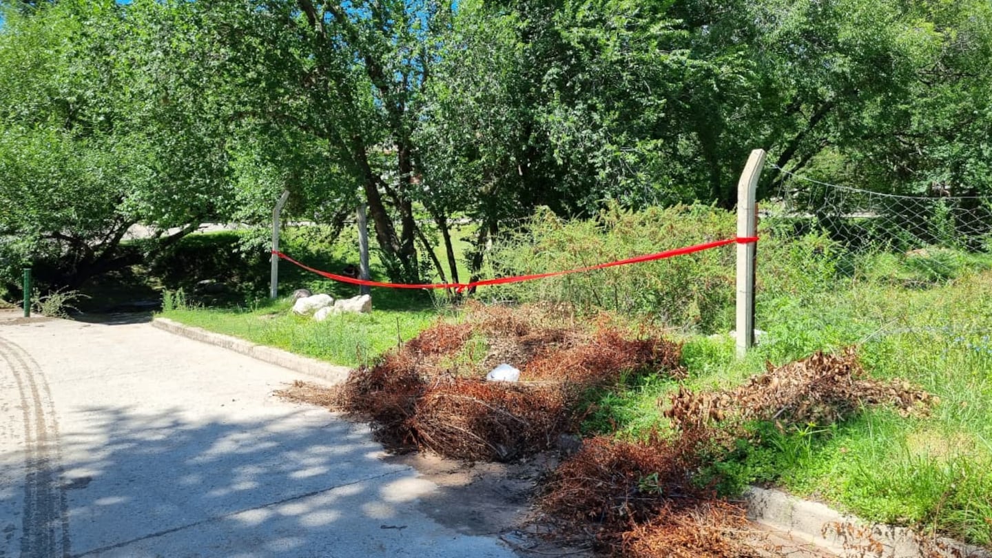 tania-suarez-lugar-hallazgo-la-cumbre-JTBXXIWMXZHE5PBQH3YMOD6ZS4