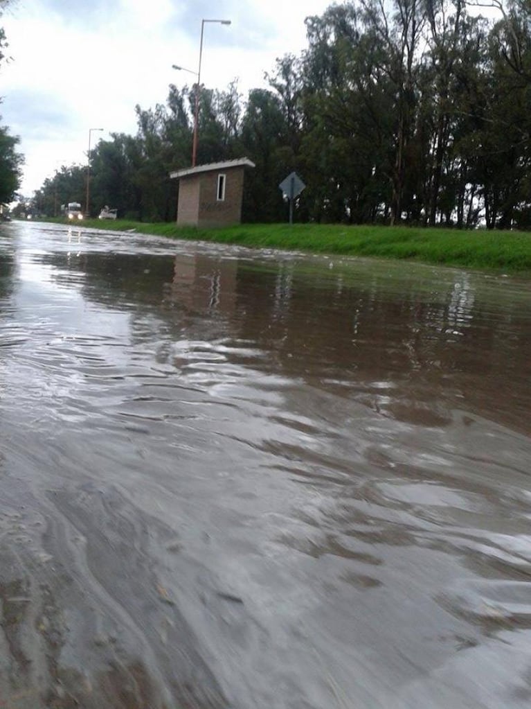 Temporal en General Levalle: calles y campos inundados