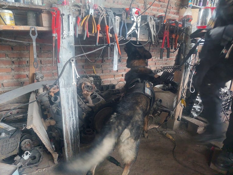 Tenían un taller mecánico narco y cayeron por las denuncias de los vecinos