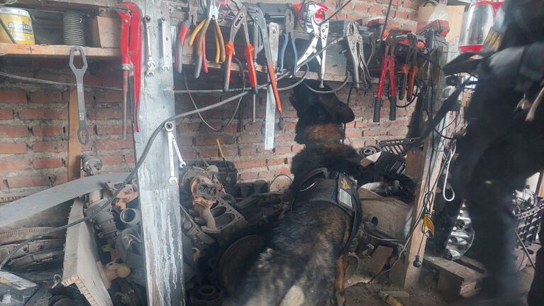 Tenían un taller mecánico narco y cayeron por las denuncias de los vecinos