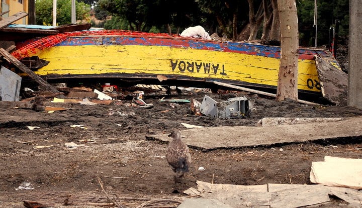 Terremoto en Chile en 2010. Cobertura especial de El Doce. 