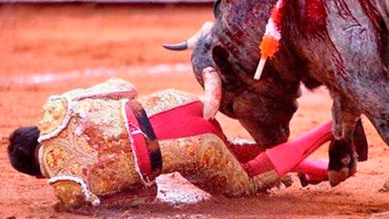 Terrible cornada a un torero
