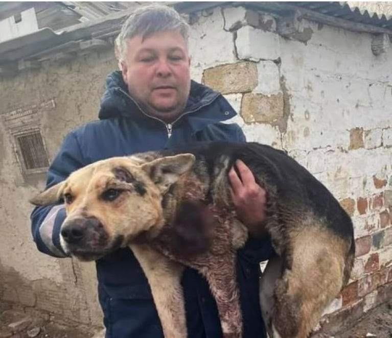 Terrible video: ató a un perro al auto y lo arrastró por la calle