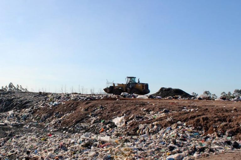 Tiraron a una beba recién nacida a la basura y la mató el camión de residuos