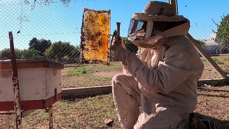 Tobías, el apicultor cordobés que busca abejas casa por casa.