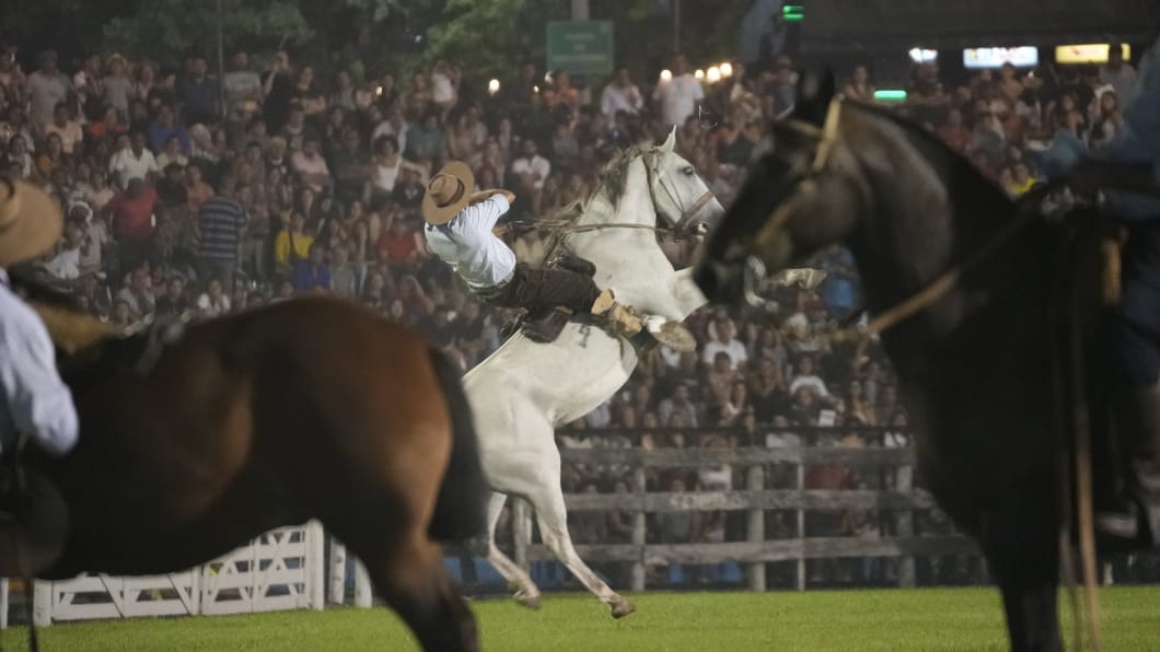 Toda la destreza en la tradicional jineteada. Foto: Lucio Casalla/El Doce.