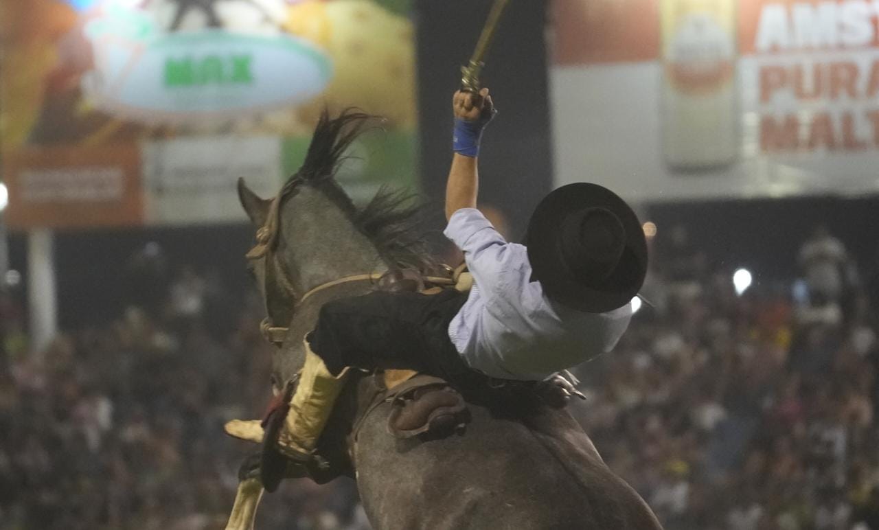 Toda la destreza en la tradicional jineteada. Foto: Lucio Casalla/El Doce.