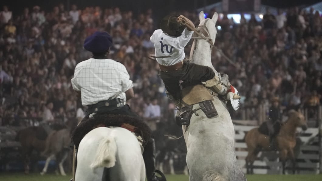 Toda la destreza en la tradicional jineteada. Foto: Lucio Casalla/El Doce.