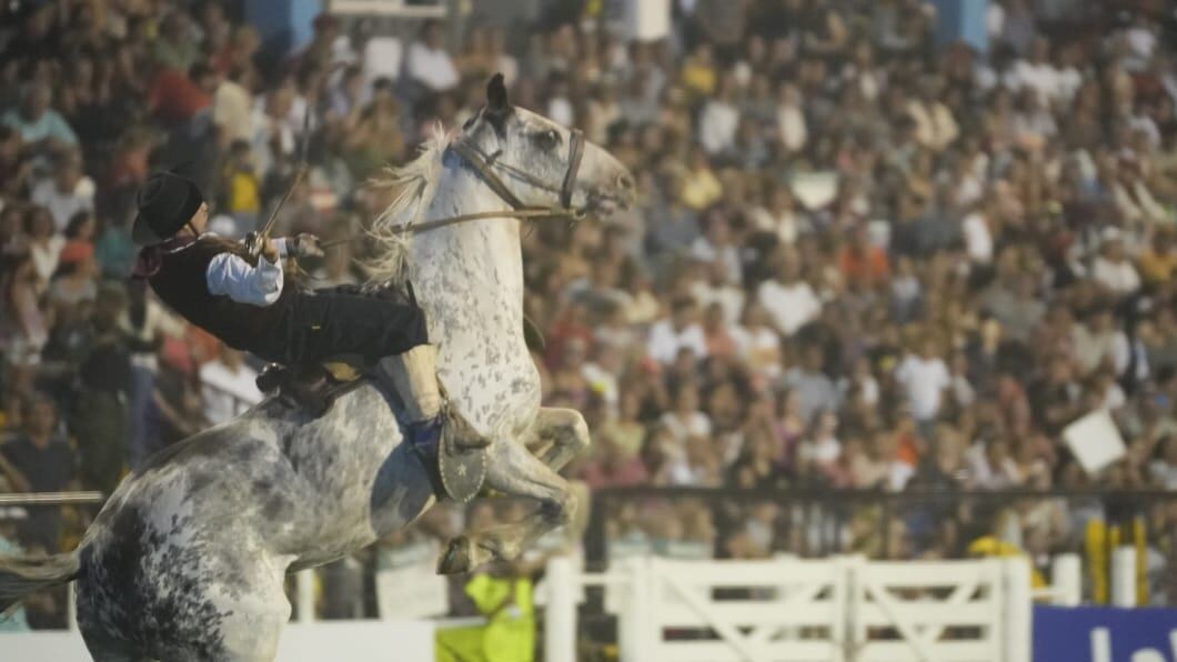 Toda la destreza en la tradicional jineteada. Foto: Lucio Casalla/El Doce.