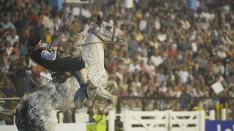Toda la destreza en la tradicional jineteada. Foto: Lucio Casalla/El Doce.