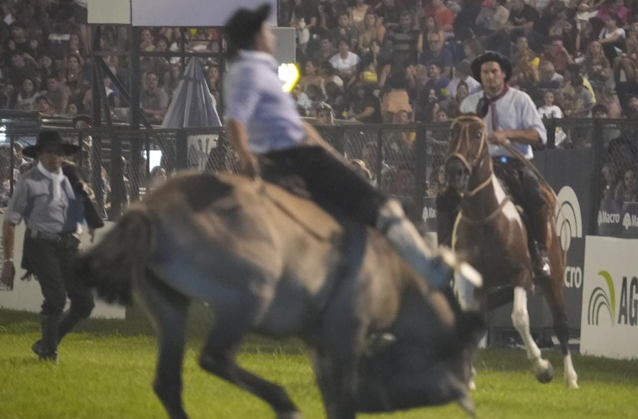 Toda la destreza en la tradicional jineteada. Foto: Lucio Casalla/El Doce.