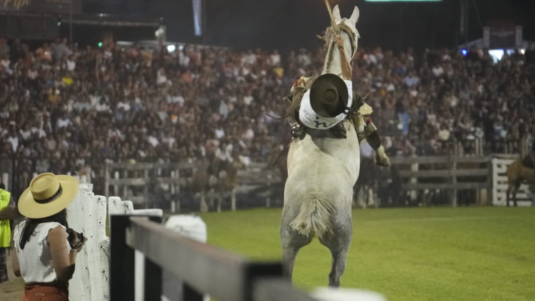 Toda la destreza en la tradicional jineteada. Foto: Lucio Casalla/El Doce.