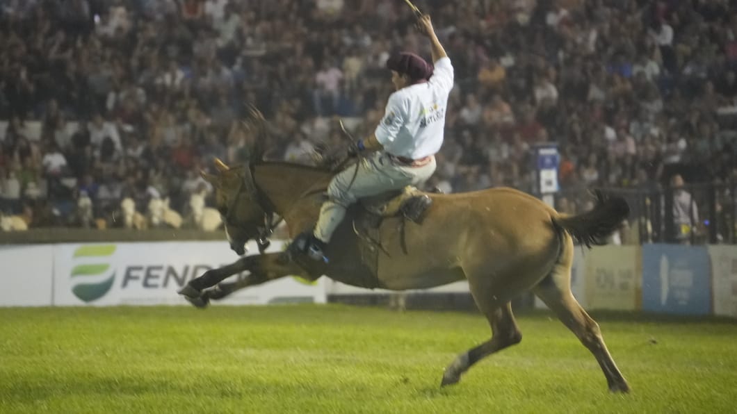 Toda la destreza en la tradicional jineteada. Foto: Lucio Casalla/El Doce.