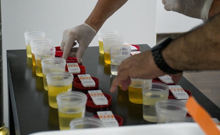 Todos los narcotest dieron negativo.