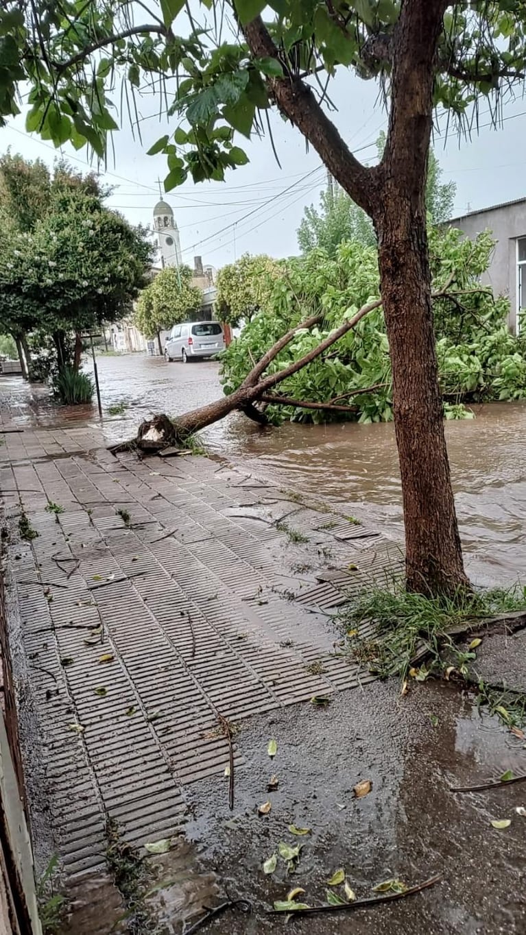 Tormenta de viento y granizo dej sin luz al sur de Crdoba antes de Navidad