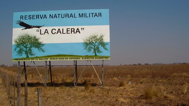 Transformamos este espacio en un bosque.
