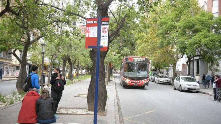 Transporte urbano: cómo funcionará tras la sanción a ERSA y la compra de nuevos colectivos