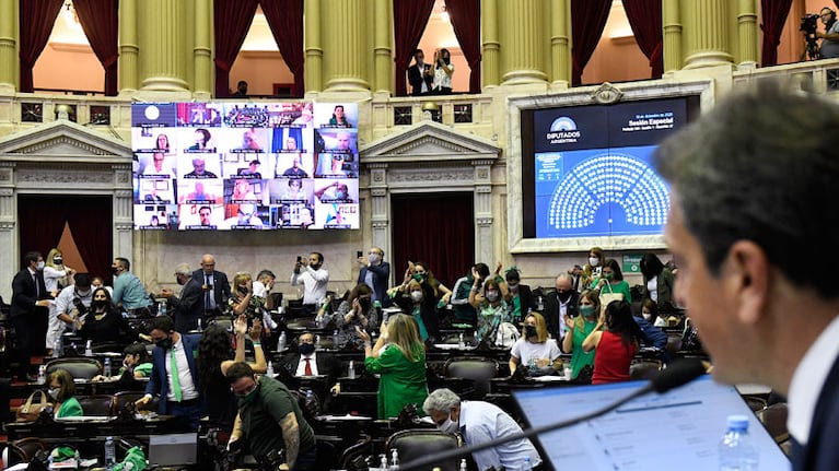 Tras la aprobación en Diputados, ahora el Senado definirá si lo convierte en ley.