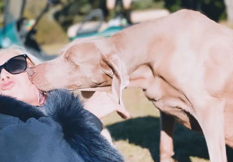 Tras rechazar el regalo de Cristian Castro, Susana contó cómo es su “cementerio de perros”